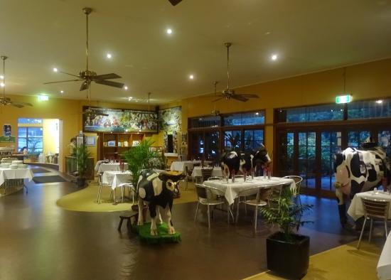 Malanda QLD VIC Tourism