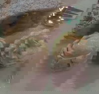 Suttons - VIC Tourism