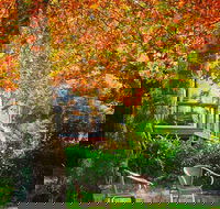 The Woods Ravensbourne - VIC Tourism