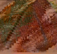 Hercules Morse Kitchen  Bar - VIC Tourism