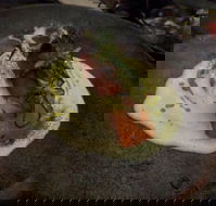 Mjolner - VIC Tourism