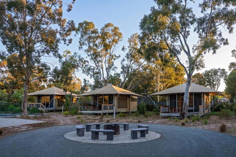 Discovery Parks Barossa Valley - VIC Tourism 0