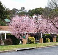 White Lanterns Motel - VIC Tourism