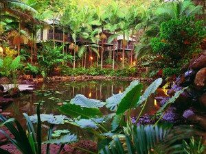 Daintree Eco Lodge & Spa - VIC Tourism 0
