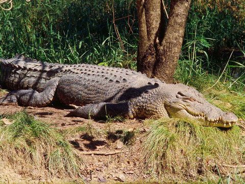 Novotel Darwin Atrium - VIC Tourism 16
