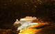 Mercure Kangaroo Island Lodge - thumb 16