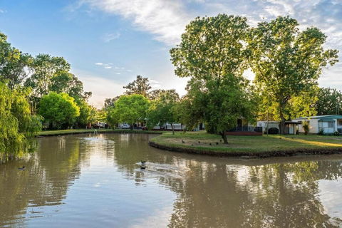 Discovery Parks Moama Maidens - VIC Tourism 0