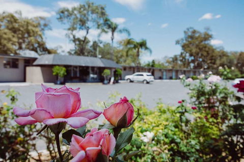 Artesian Spa Motor Inn - VIC Tourism 2