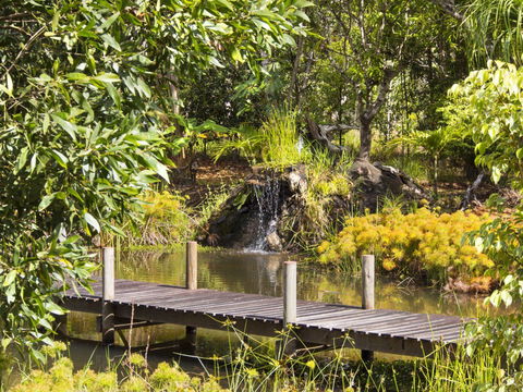 Cedar Park Rainforest Resort - VIC Tourism 0