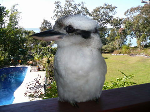 Yarrandabbi Dreaming Boutique B&B - VIC Tourism 2