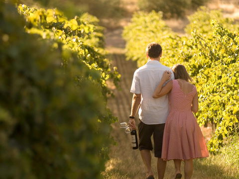 Novotel Barossa Valley Resort - VIC Tourism 1