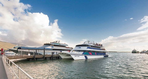 Sebel Cairns Harbour Lights - VIC Tourism 16