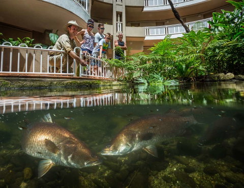 DoubleTree by Hilton Cairns - VIC Tourism 4