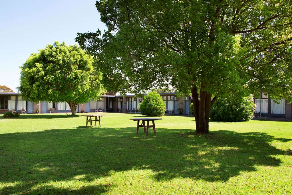 Morphettville SA VIC Tourism
