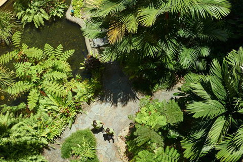 DoubleTree by Hilton Cairns - VIC Tourism 2