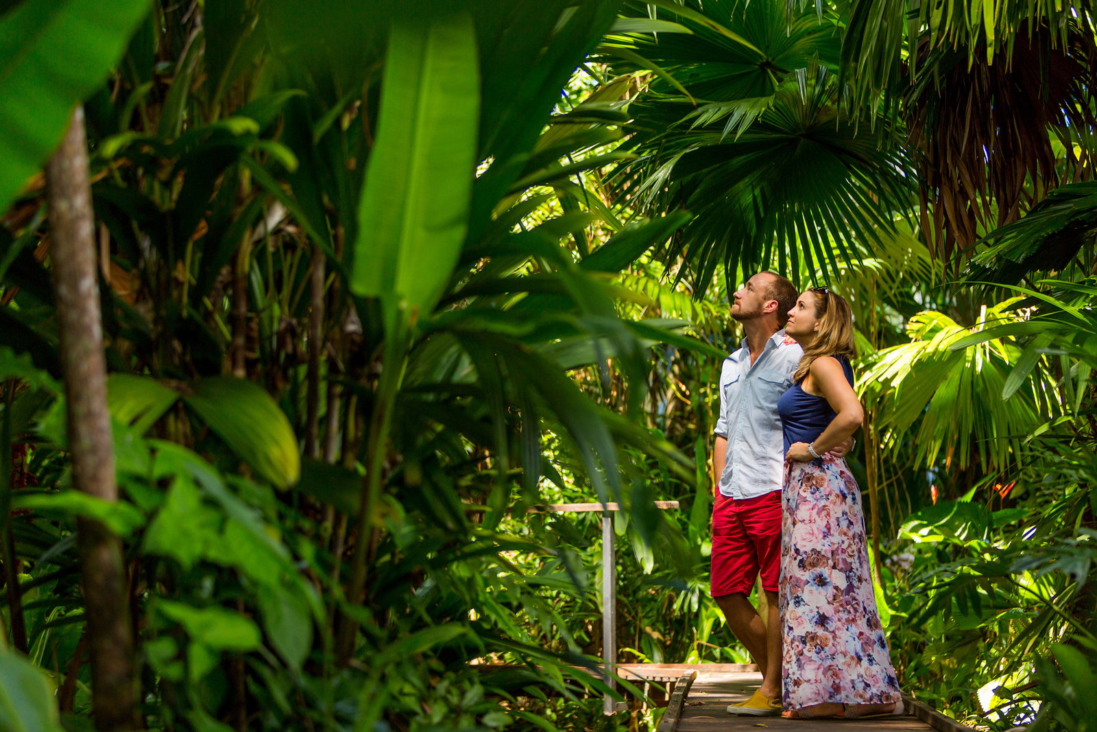 Cairns QLD VIC Tourism