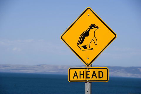 Kangaroo Island Seafront - VIC Tourism 43