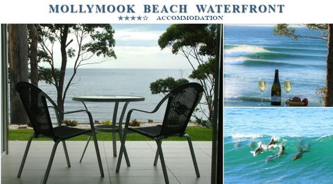 Mollymook Beach Waterfront - VIC Tourism 1