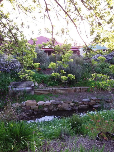Frog Song At Willunga - VIC Tourism 0