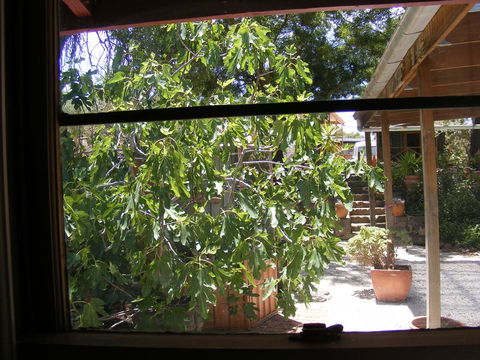 Trevalia Accommodation - VIC Tourism 4
