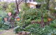 Trevalia Accommodation - thumb 12