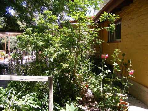 Trevalia Accommodation - VIC Tourism 7