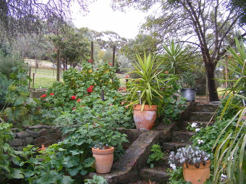 Trevalia Accommodation - VIC Tourism 13
