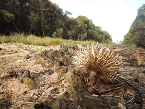 Kangaroo Island Wilderness Retreat - VIC Tourism 20