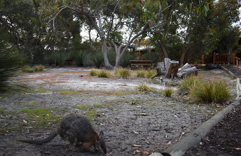Kangaroo Island Wilderness Retreat - VIC Tourism 1