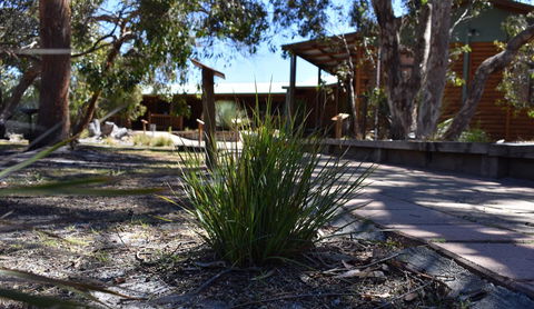 Kangaroo Island Wilderness Retreat - VIC Tourism 21
