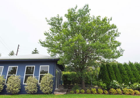 S T U D I O 22 Peaceful Retreat With Garden Views - VIC Tourism 11