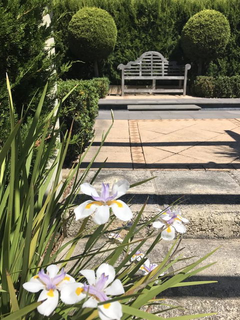 S T U D I O 22 Peaceful Retreat With Garden Views - VIC Tourism 13