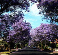 Monaco Court Apartment Adelaide - VIC Tourism