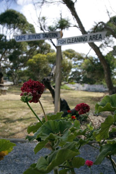 Cape Jervis Holiday Units - VIC Tourism 13