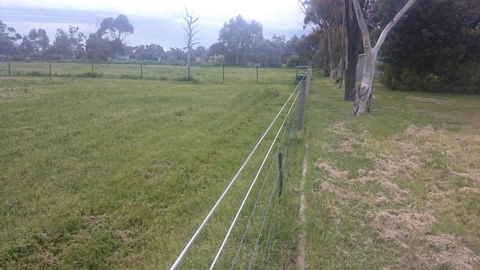 Gaerwood B&B - VIC Tourism 17