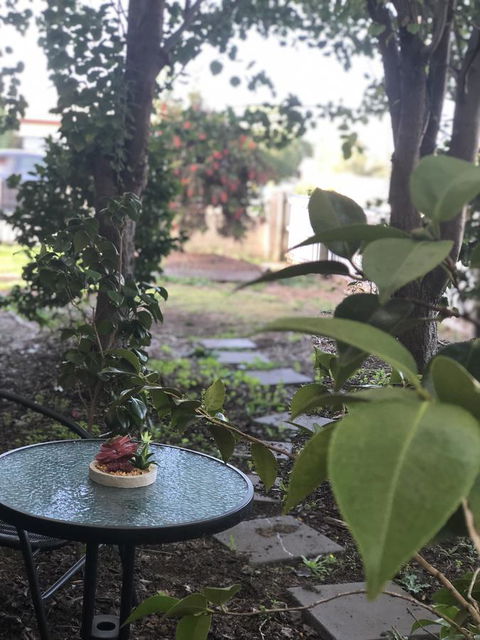 Olive\'s Cottage - VIC Tourism 2