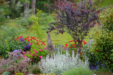 SkyView Villa - VIC Tourism 31