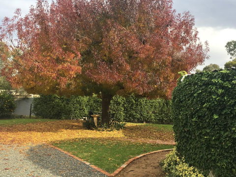 Barossa Retro BnB - VIC Tourism 30
