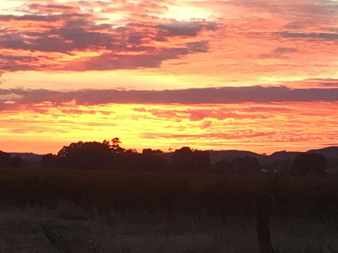 Barossa Retro BnB - VIC Tourism 21