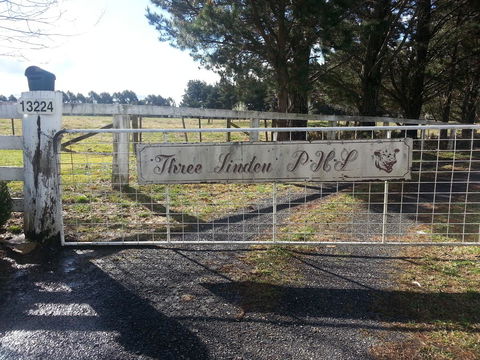 Three Linden - VIC Tourism 6