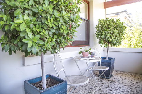 Mataro Cottage - VIC Tourism 2