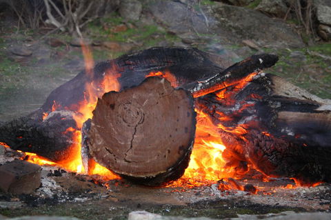 Rabbiters Hut - VIC Tourism 15