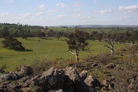 Rabbiters Hut - VIC Tourism 28