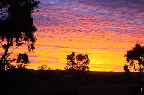 Rabbiters Hut - VIC Tourism 33