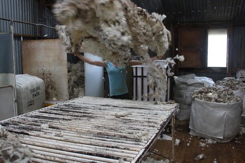 Rabbiters Hut - VIC Tourism 19