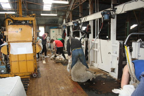 Rabbiters Hut - VIC Tourism 18