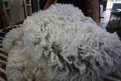 Rabbiters Hut - VIC Tourism 20