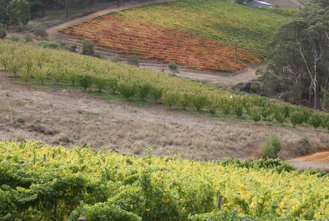 Rabbiters Hut - VIC Tourism 25