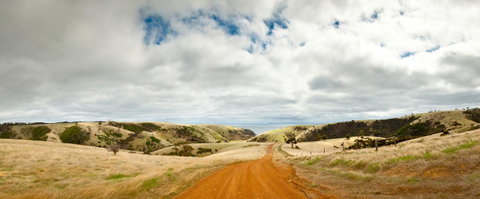 Penneshaw Oceanview Apartments - VIC Tourism 20