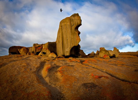 Penneshaw Oceanview Apartments - VIC Tourism 23